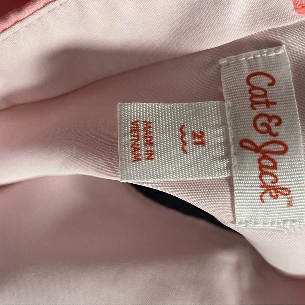 Cat & Jack 2T Charming Pink Striped Kids Dress w/under slip